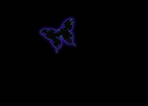 butterflylogosmall.jpg
